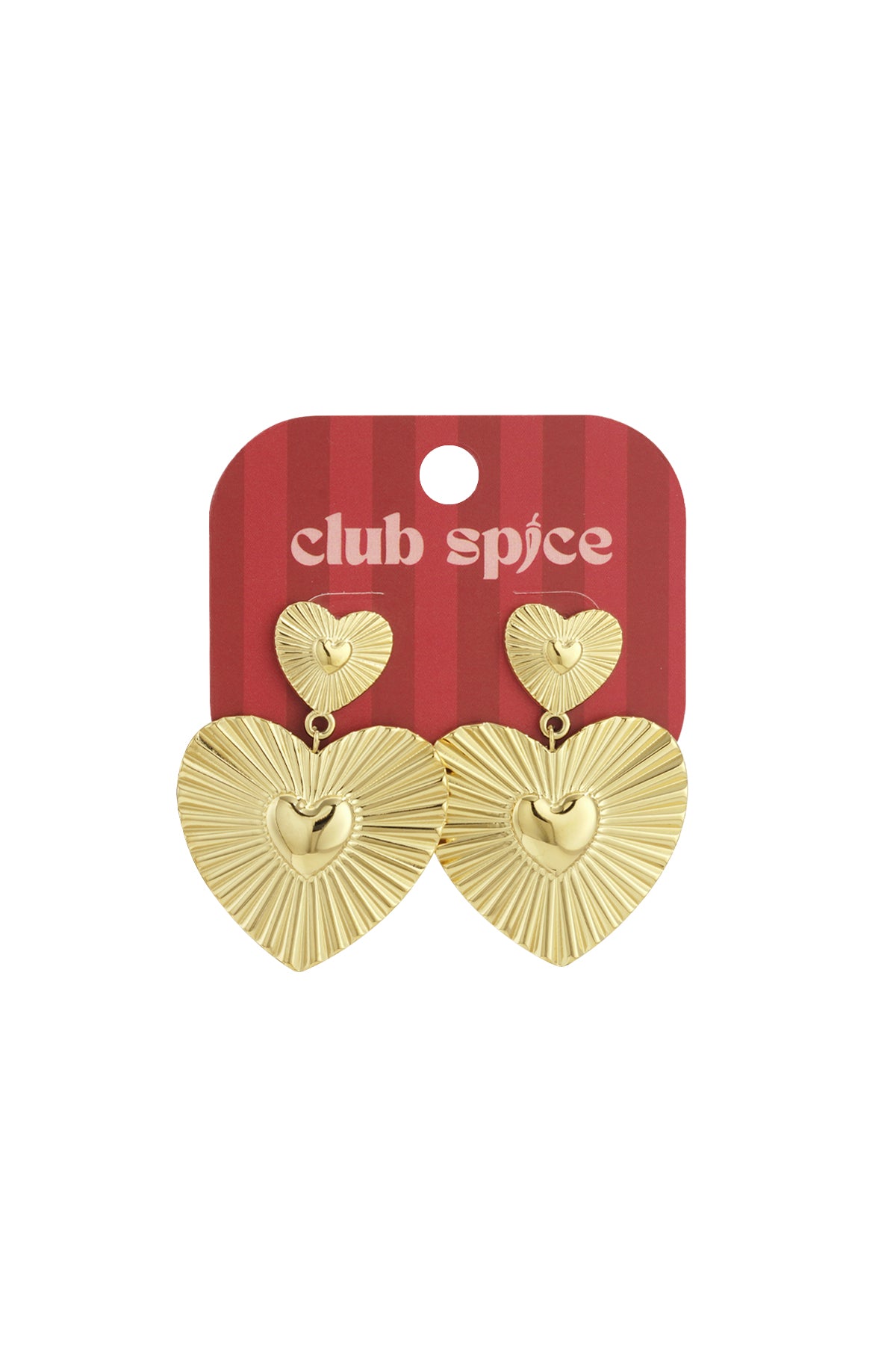 Stainless Steel Drop Earrings Heart Casual Daily Simple Series Women's jewelry