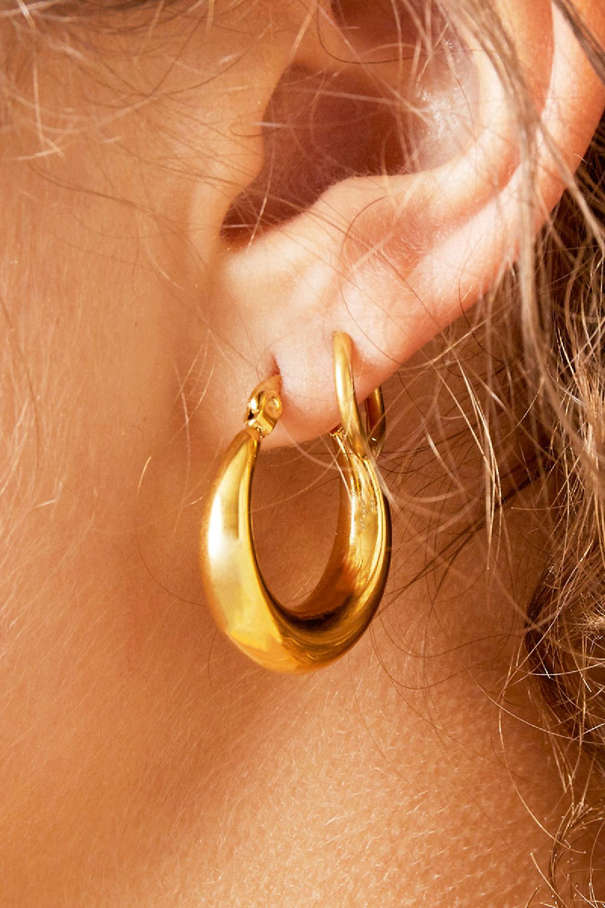 Arched Stainless Steel Earrings