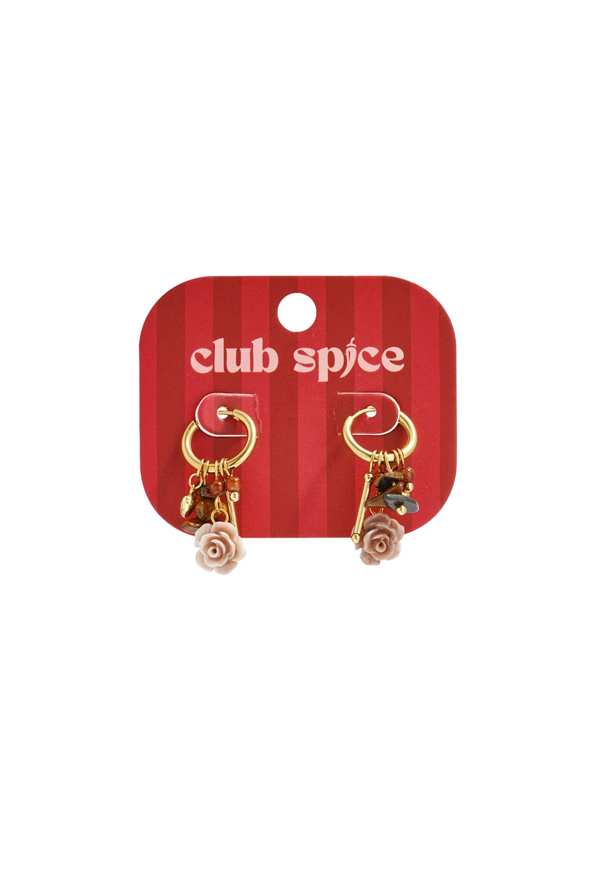 Stainless Steel Drop Earrings Flower Casual Daily Simple Series Women's jewelry