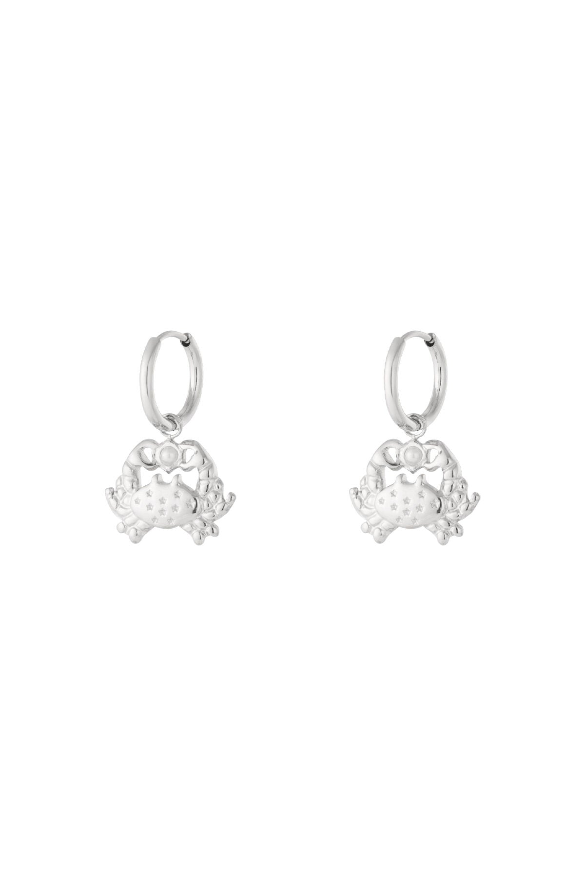   Drop Earrings Animal Casual Daily Simple Series Women's jewelry