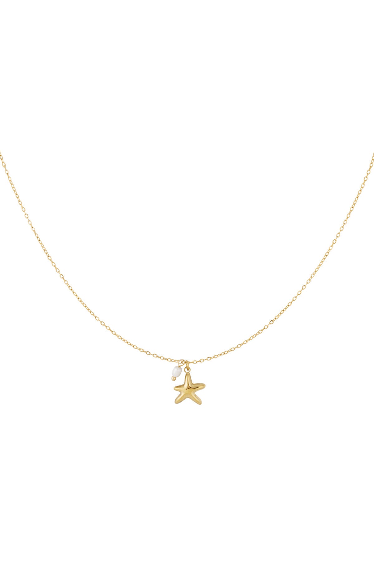Starfish necklace