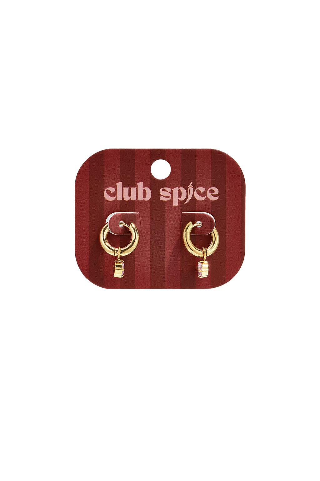 Stainless Steel Drop Earrings Geometric Shape Simple Daily Simple Series Women's jewelry