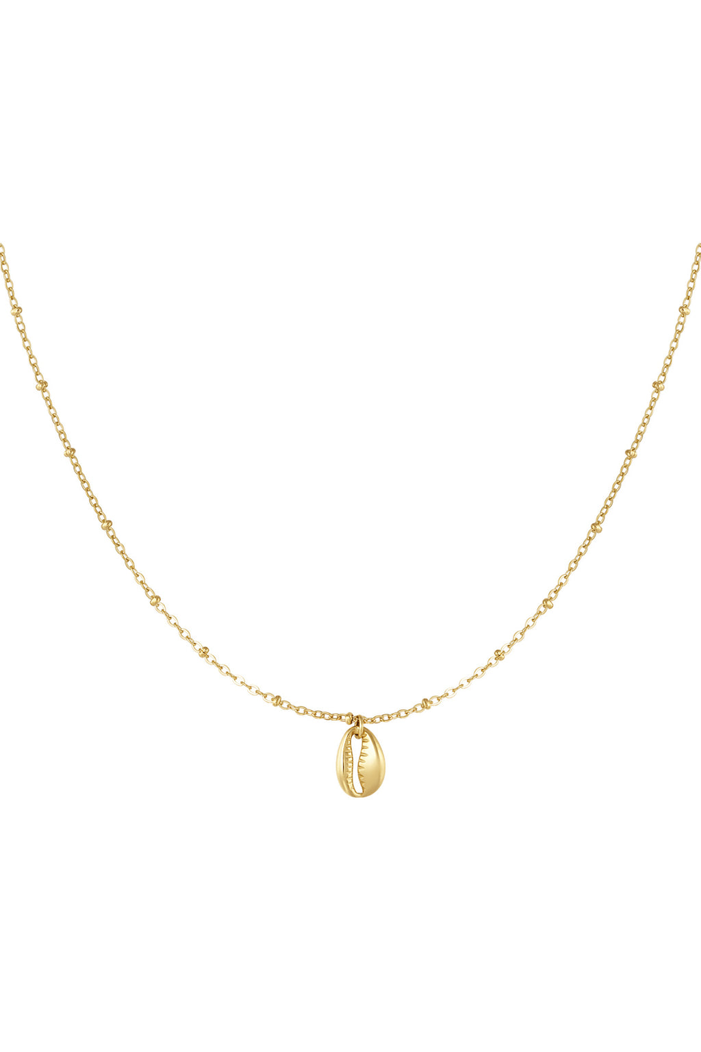 link chain with shell