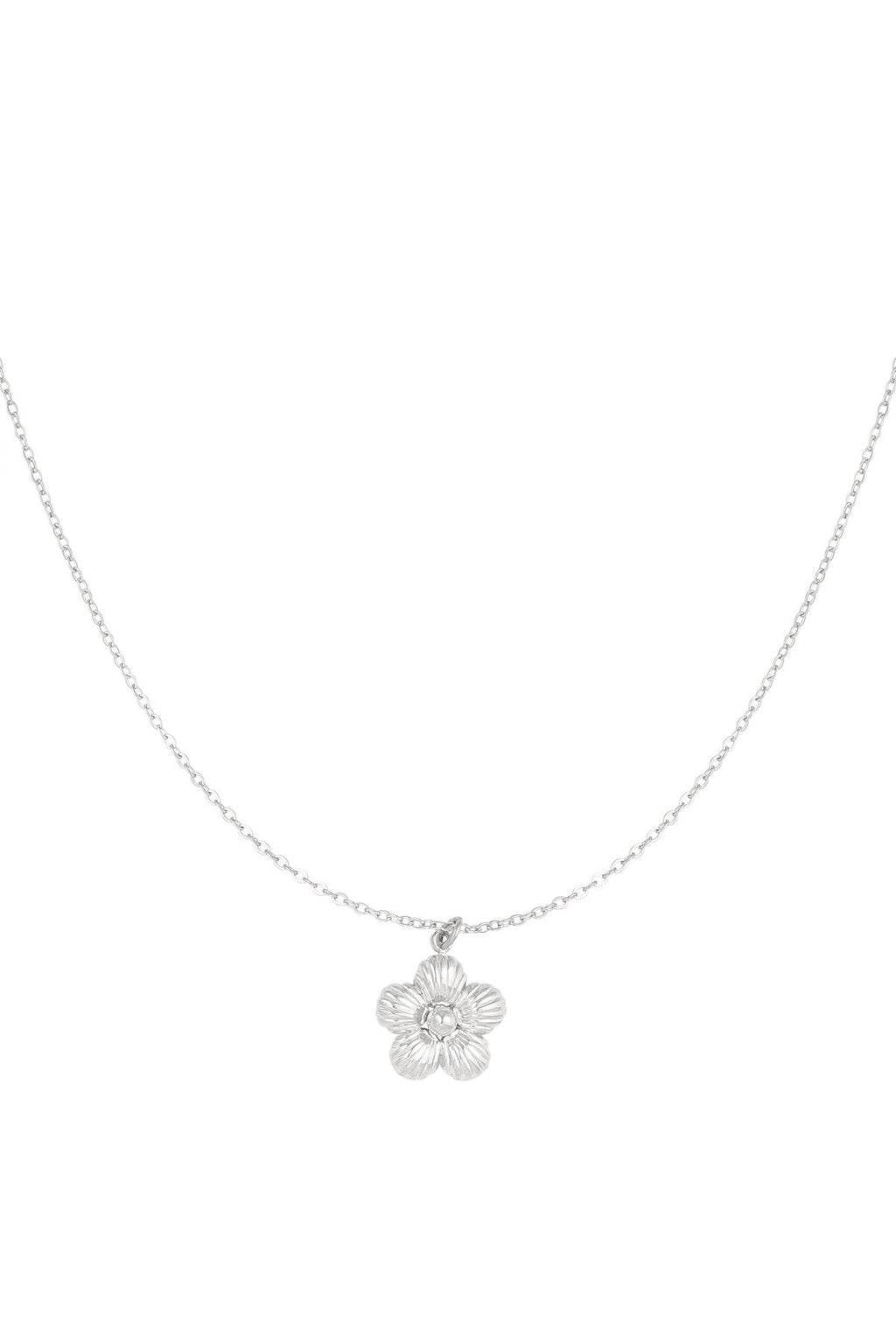 Anhängerkette Gänseblümchen aus Edelstahl, Ansicht 4
