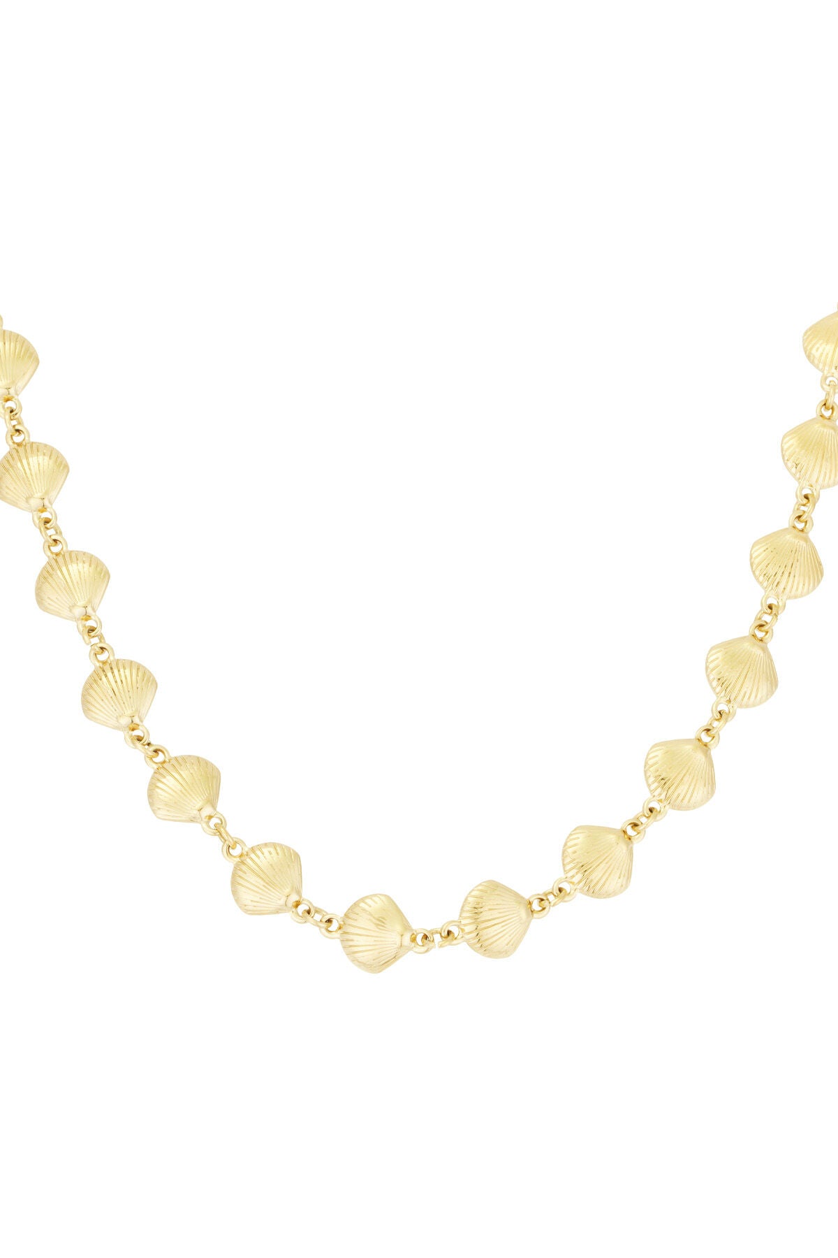 necklace shell trio