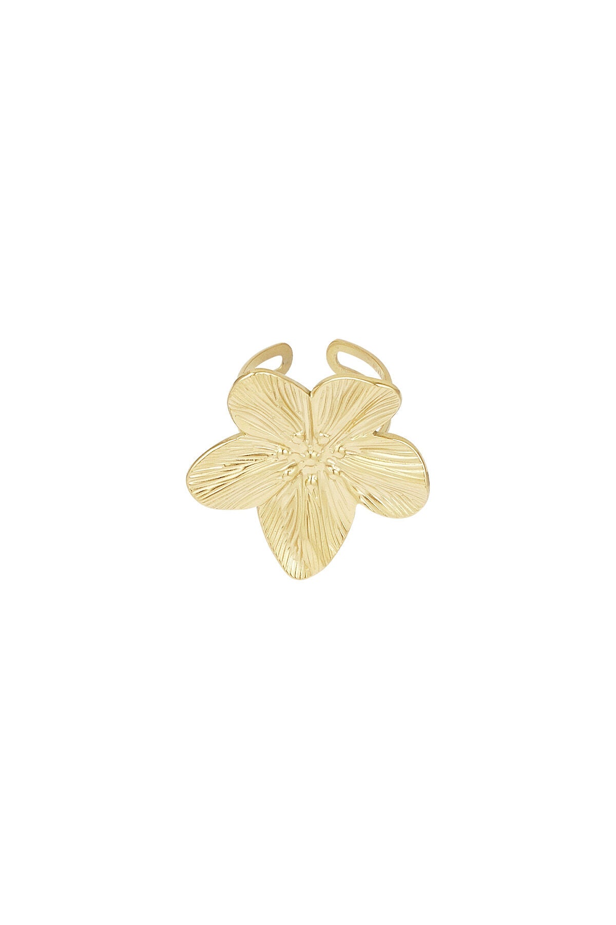 Elegant Statement Ring in Silver and Gold Tones