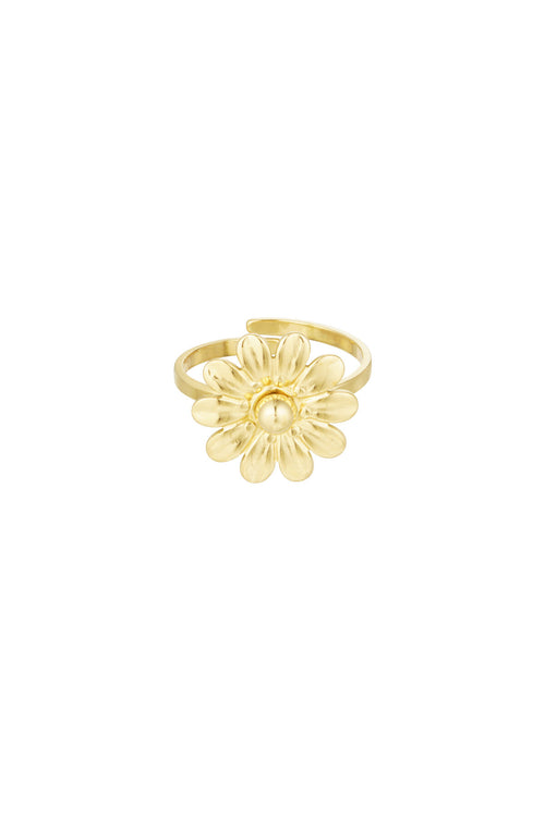 Elegant Adjustable Statement Ring in Silver and Gold
