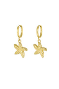 earrings special starfish