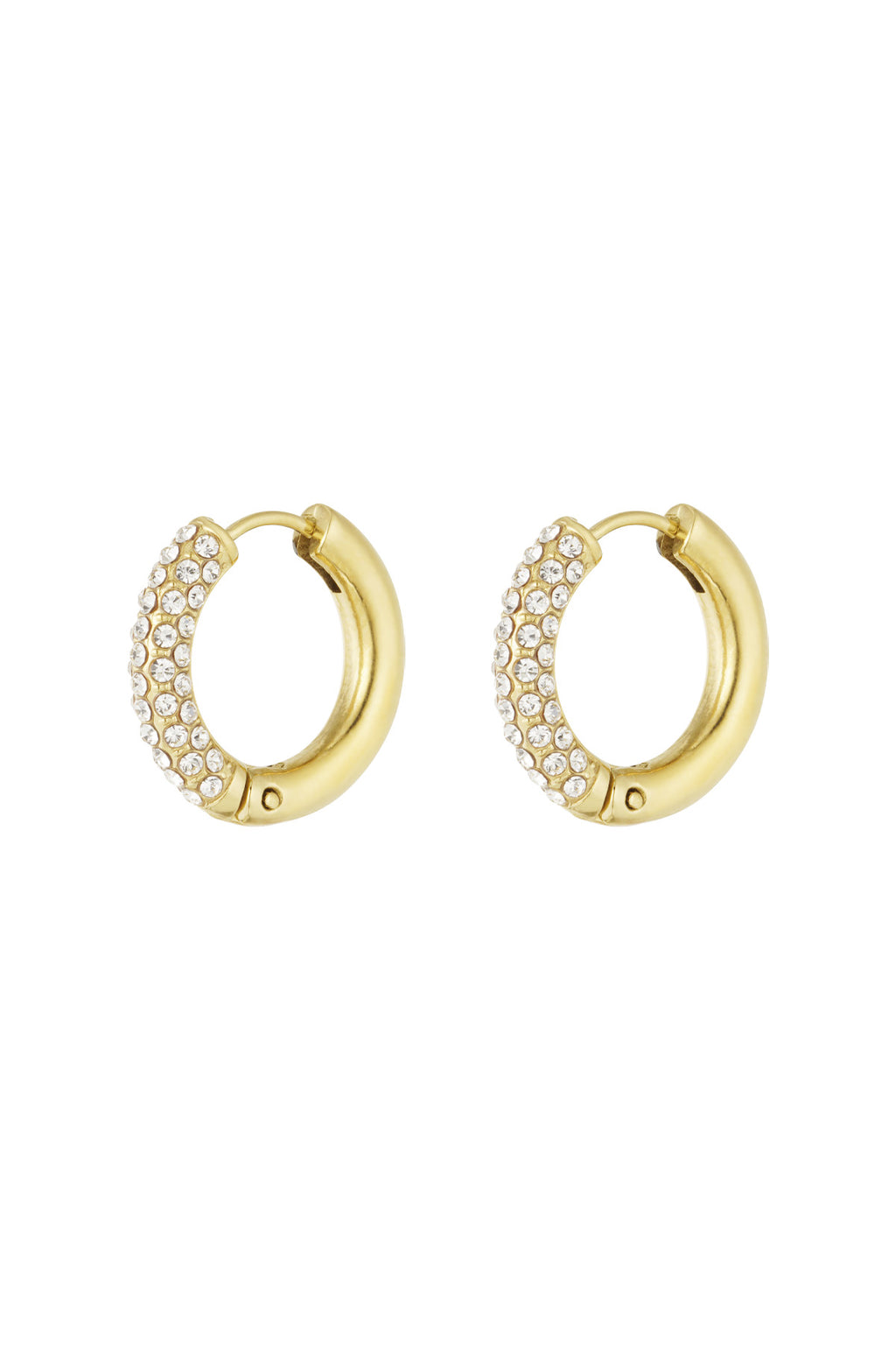 Shiny Rings earrings