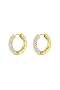 Shiny Rings earrings
