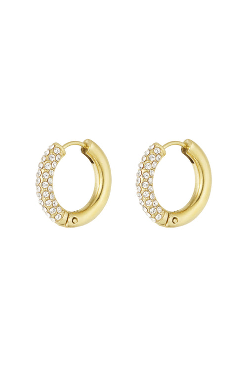 Shiny Rings earrings