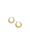 Arched Stainless Steel Earrings