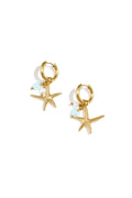 large starfish earrings