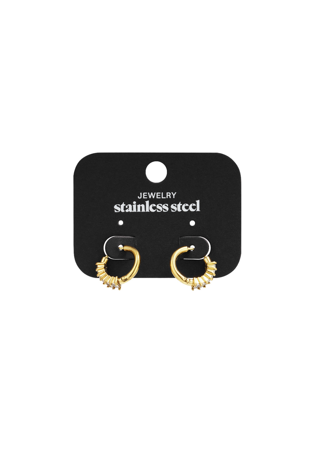 Stainless Steel Hoop Earrings circle Casual Daily Simple Series Women's jewelry