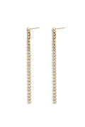 Stainless Steel Dangle Earrings Chain Elegant Gathering/Party Luxurious Series Women's jewelry