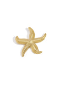 Starfish-shaped brooch hairpin with structure
