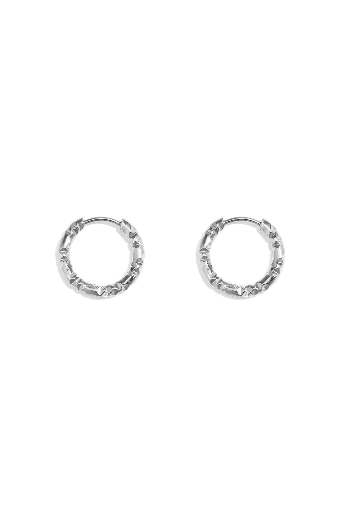 Stainless steel earrings