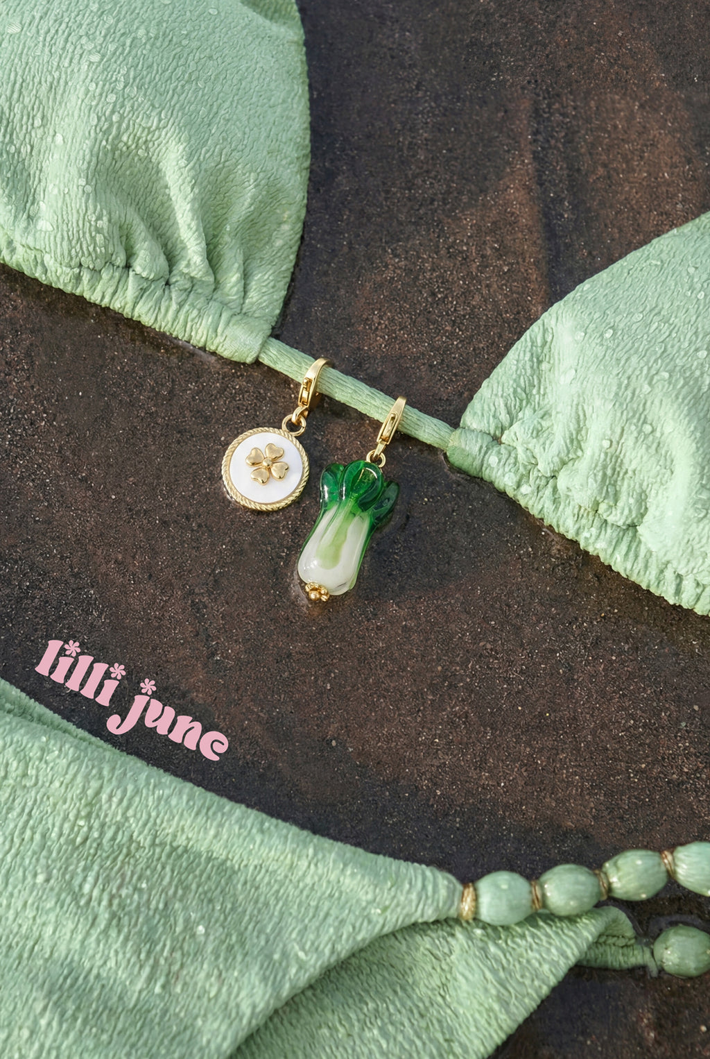 Jewelry charm clover in coin DIY