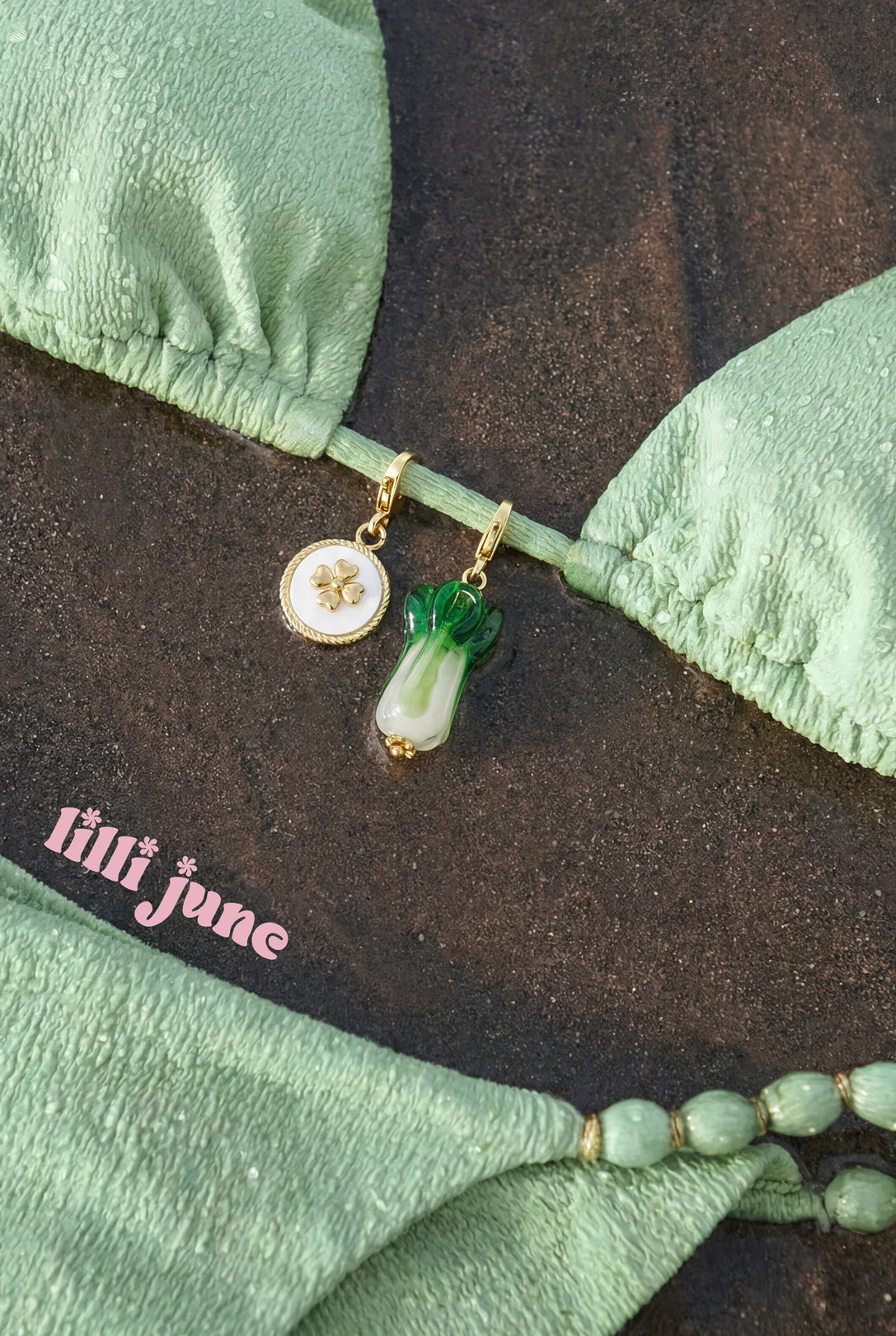 Jewelry charm clover in coin DIY