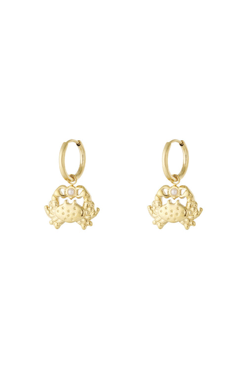   Drop Earrings Animal Casual Daily Simple Series Women's jewelry
