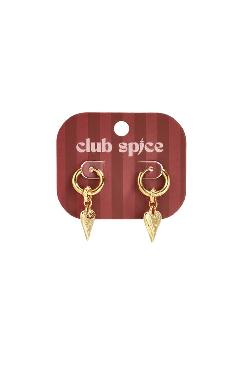 Stainless Steel Drop Earrings Heart Simple Daily Simple Series Women's jewelry