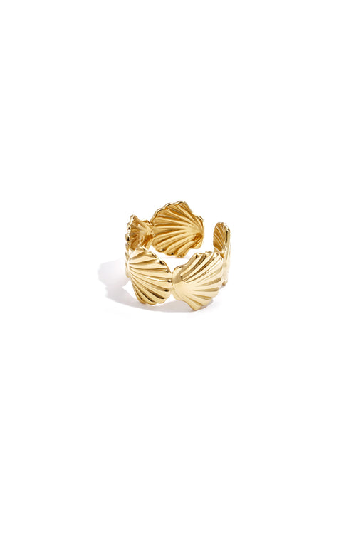 Shell Statement Ring – Gold-Plated Steel