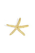Brooch hairpin with starfish
