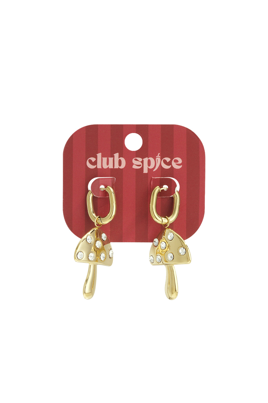 Stainless Steel Drop Earrings plant Casual Daily Simple Series Women's jewelry