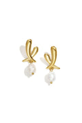 Stainless Steel Drop Earrings Irregular Shape Casual Daily Simple Series Women's jewelry