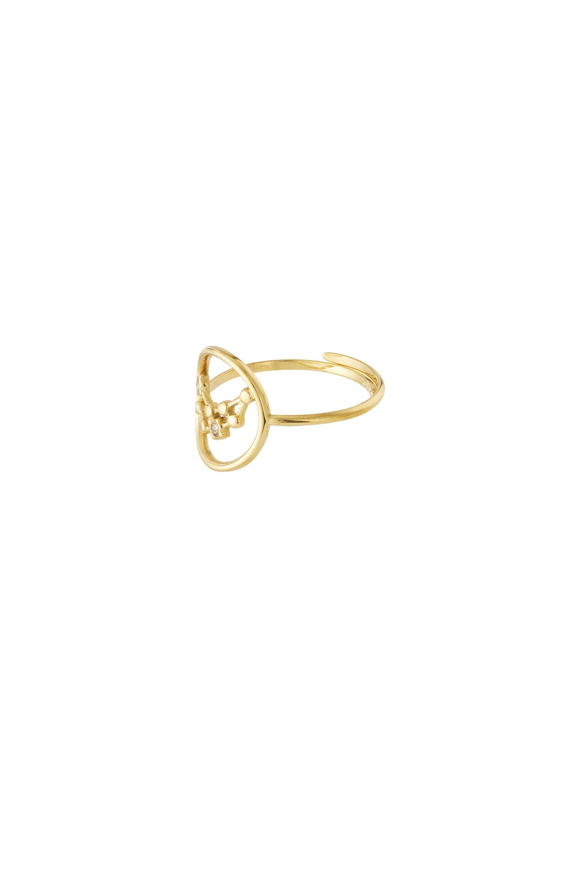 14K Gold Plated Zodiac Statement Ring for Women