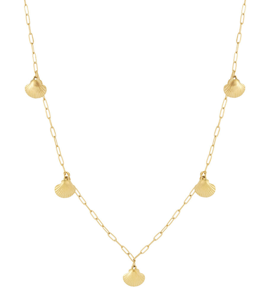 Shell Long Necklace