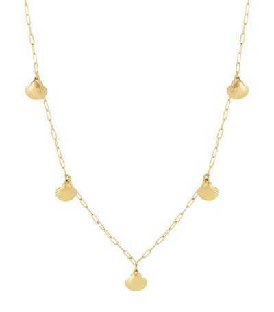 Shell Long Necklace