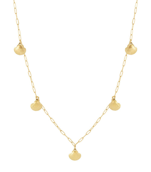 Shell Long Necklace