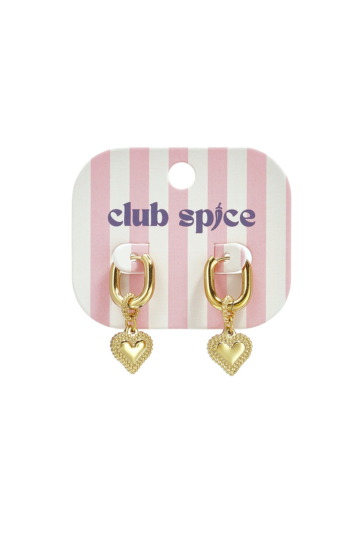 Stainless Steel Drop Earrings Heart Casual Daily Simple Series Women's jewelry