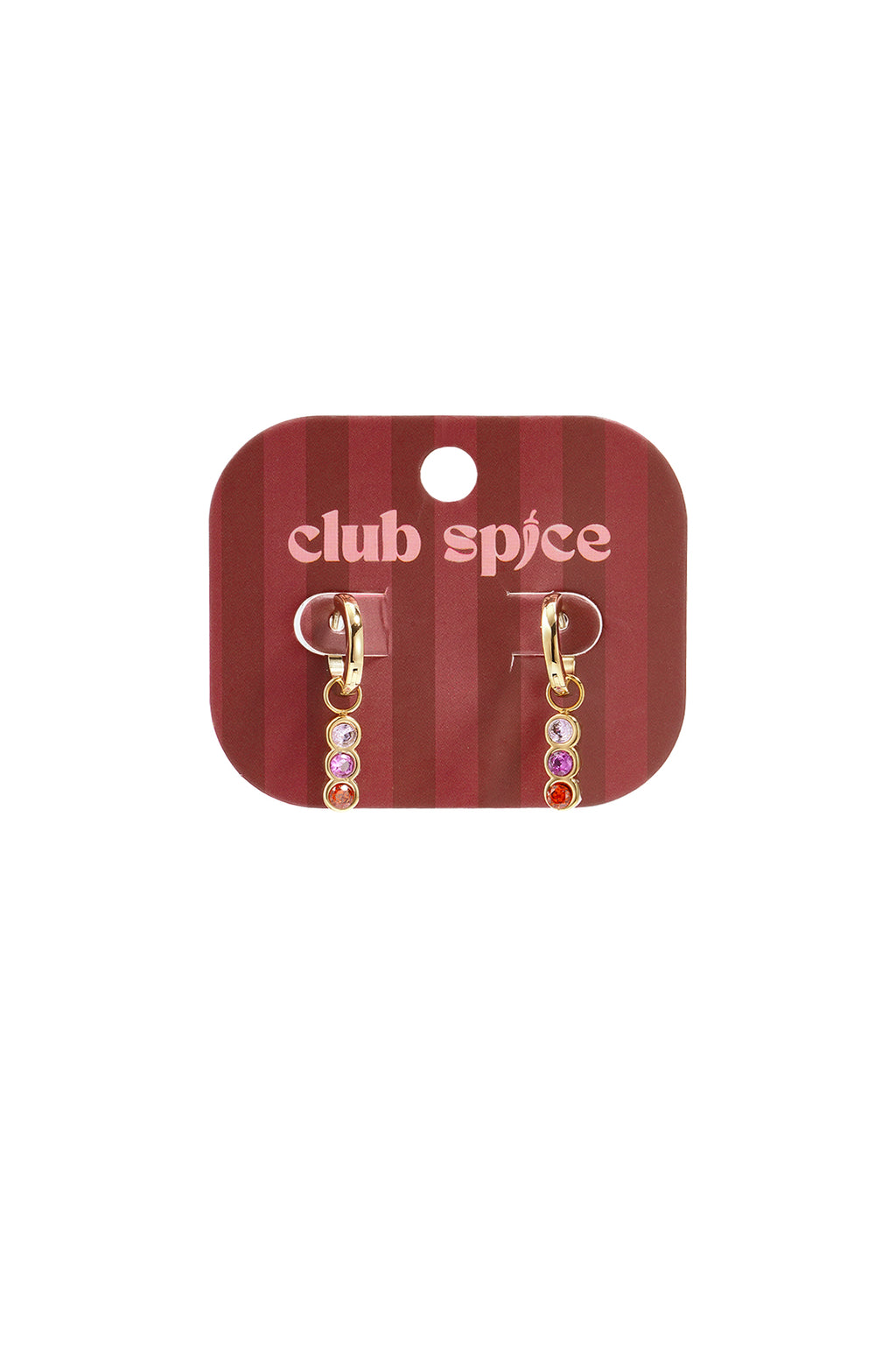 Stainless Steel Drop Earrings Circle Casual Daily Simple Series Women's jewelry